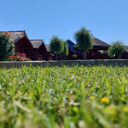Pensiunea La Tavi Murighiol Eksteriør bilde